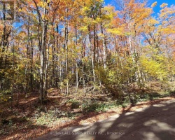 Property for Sale on 0 SALERNO LAKE ROAD, 
