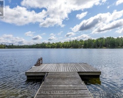 Property for Sale on 1330 COUNTY RD 49, 