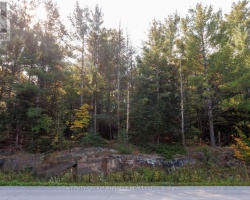 Property for Sale on PART 2 - 0 MONCK ROAD, Kawartha Lakes (Laxton/Digby/Longford)