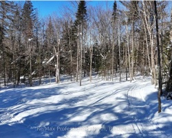 Property for Sale on 1066 Uffington Road, Bracebridge (Draper)