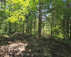 Property for Sale on 0 HWY 503 HIGHWAY E, 