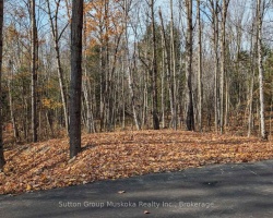 Property for Sale on Lot 2 Tally Ho Winter Park Road, Lake of Bays (Sinclair)