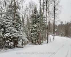 Property for Sale on Pcl 20438 & 29803 Upper Walker Lake Rd Road, Lake of Bays (Sinclair)