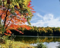 Cottage for Sale on Otter Lake